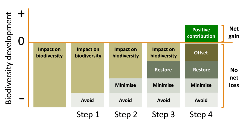 Positive impact and investability in Biodiversity - Impact Orange Partners